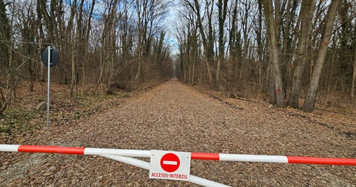 Abuz fără precedent: Peste 6.000 de români, victime ale unei măsuri nejustificate