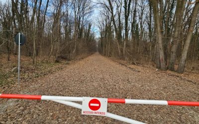 Abuz fără precedent: Peste 6.000 de români, victime ale unei măsuri nejustificate