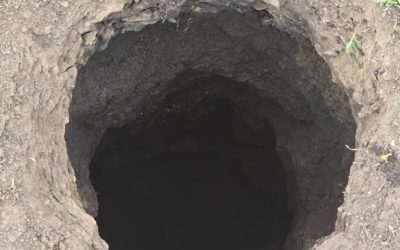 Groapă LETALĂ de 10 metri în NEAMȚ: Emană CLOR și sperie locuitorii