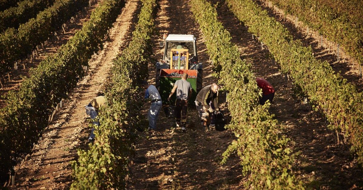 Spania legalizează 500.000 imigranți: Cine se califică pentru statut legal?