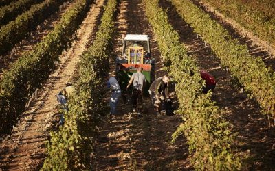 Spania legalizează 500.000 imigranți: Cine se califică pentru statut legal?