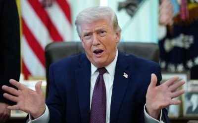 Vă rog, nu le faceți rău! Un strigăt disperat, cu ecou la București