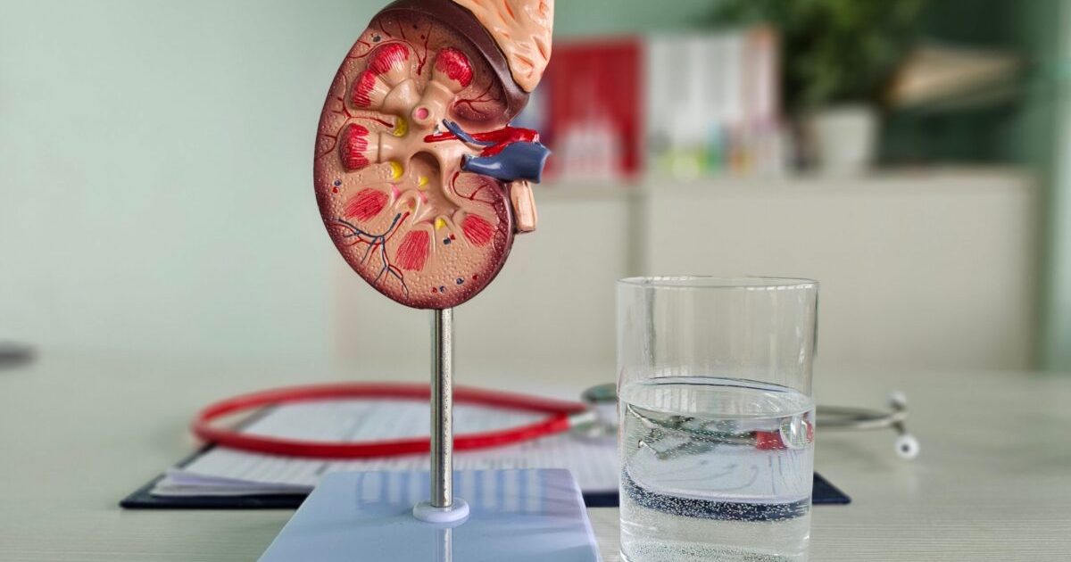 Obiceiul banal care-ți salvează rinichii: Recomandarea medicilor