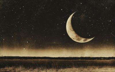 Berbecii, pe val! Daniela Simulescu dezvăluie horoscopul de 17 aprilie 2026