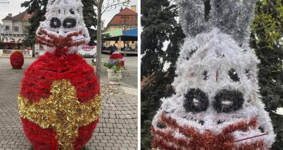 Iepurașii horror din Baia Mare revoltă locuitorii: „Te doare mintea”