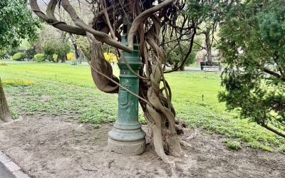 Ce secrete ascund stâlpii din Cișmigiu? Istorii sub vopsea veche