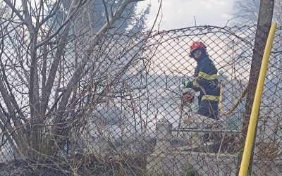 Incendiu devastator într-un cimitir din Botoșani: Flăcările au pornit de la o lumânare
