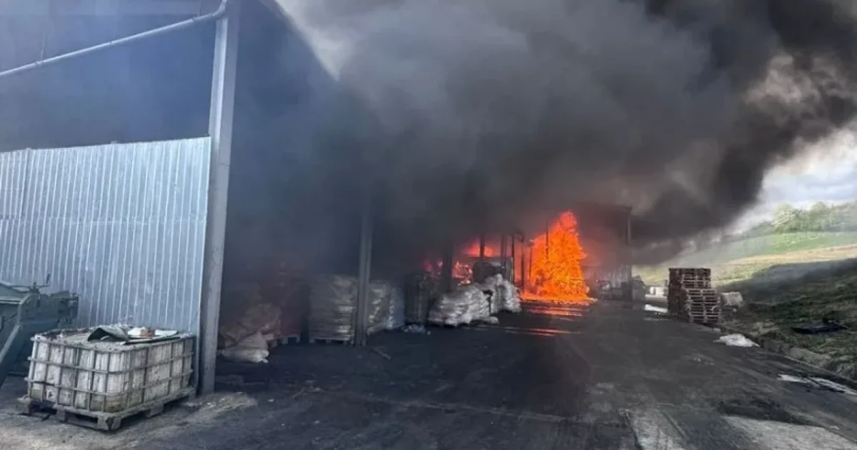 Incendiu puternic în Sălaj: Ro-Alert a alertat populația