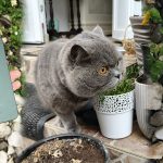 intro-1-scaled.jpg - NewsFactor