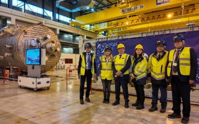 Expertiză rusească la cel mai mare reactor termonuclear european: Pașapoarte la intrare