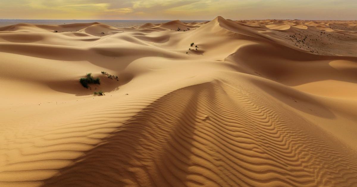 Japonia și Norvegia inovează: Nisipul din deșert, transformat în material de construcții