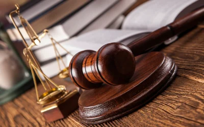 Reformă în justiție: Statul, gata să recupereze bani de la magistrați