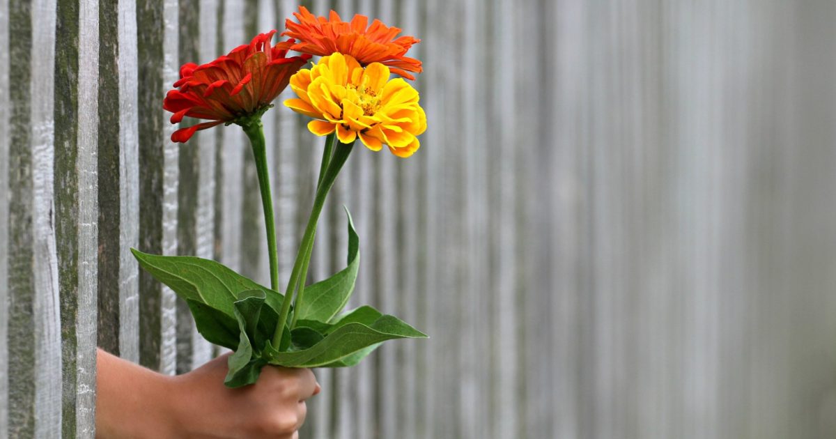 De ce dăm flori IMPAR? Misterul florilor cu soț la înmormântare