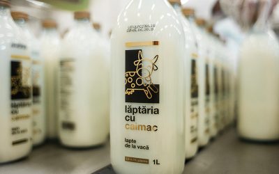 Lăptăria cu Caimac vrea energie verde: Fermă din Ialomița țintește 20 milioane de euro