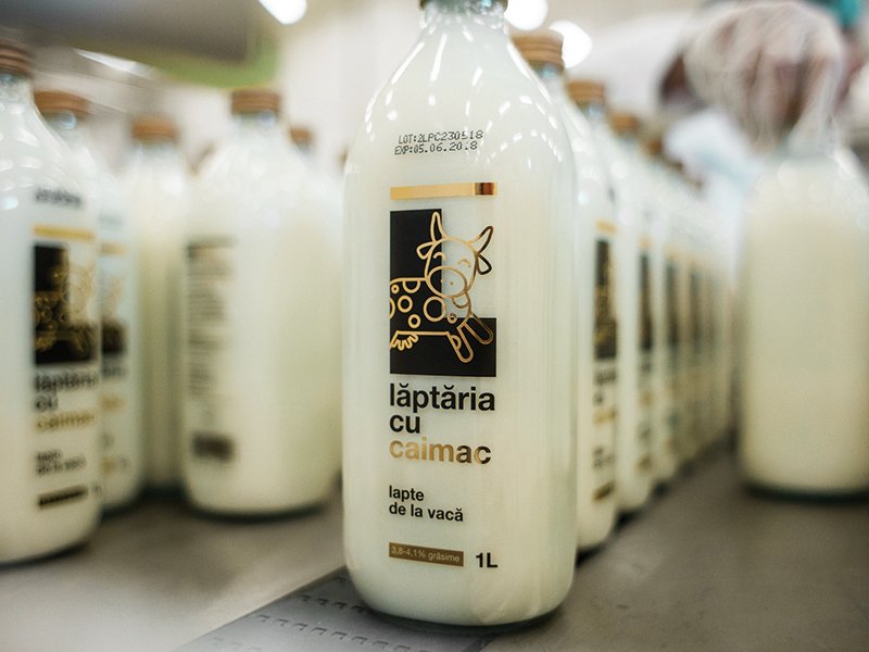 Lăptăria cu Caimac vrea energie verde: Fermă din Ialomița țintește 20 milioane de euro