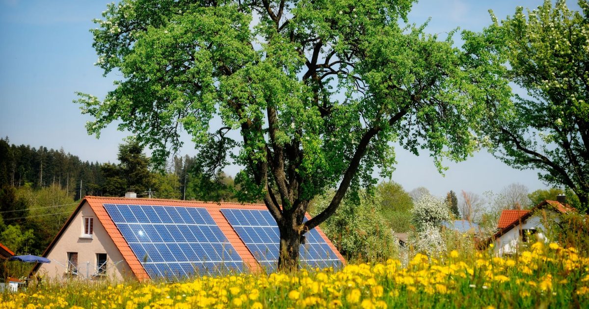 Lemnul solar care funcționează și noaptea: O minune tehnologică