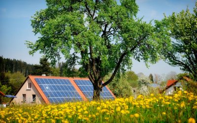 Lemnul solar care funcționează și noaptea: O minune tehnologică