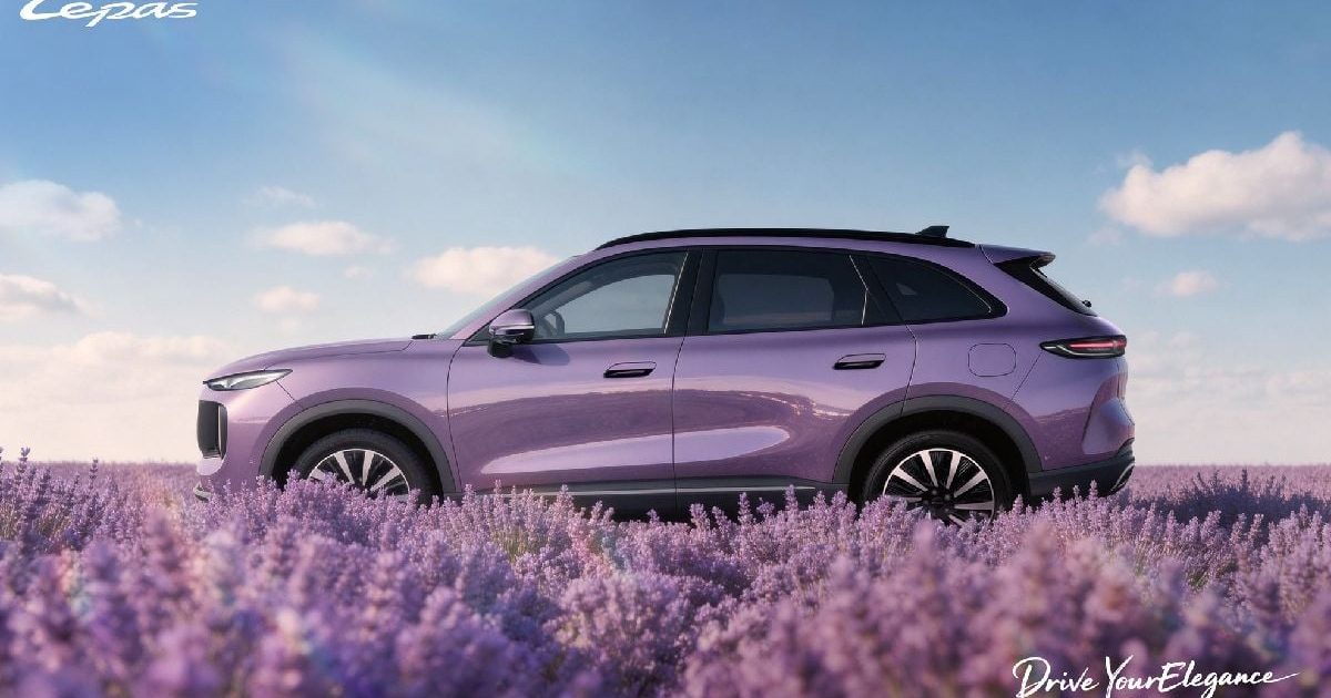 LEPAS, expansiune globală la Summitul de Business 2026: Anunțul-șoc