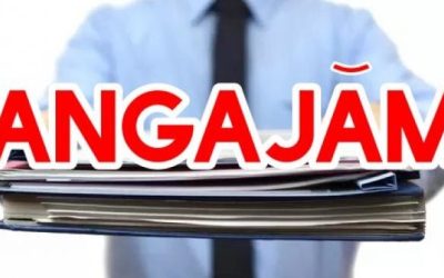 Aglomerație pe piața muncii: Firmele se „bat” pe șoferi și curieri în România