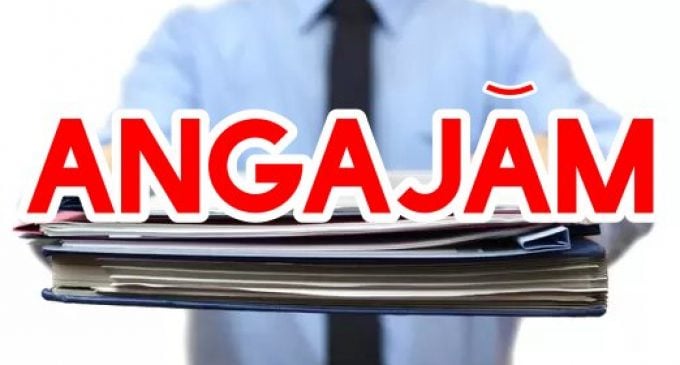 Aglomerație pe piața muncii: Firmele se „bat” pe șoferi și curieri în România