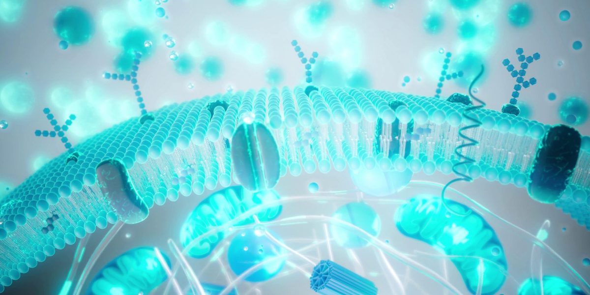 longevitatea-imbatranire-shutter_descopera-scaled.jpg - NewsFactor