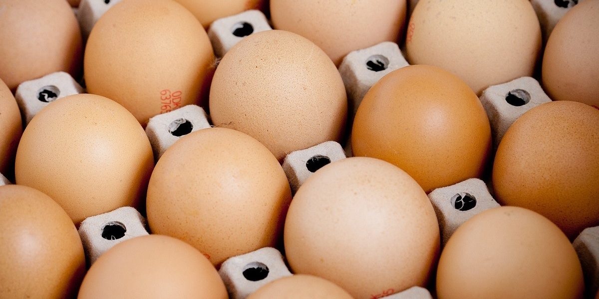 mads-eneqvist-X77nWyRG2Ck-unsplash.jpg - NewsFactor