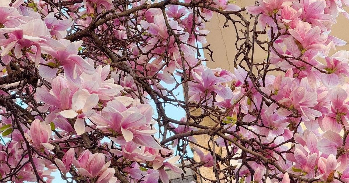 Prognoza ANM: Vremea ne joacă feste în România, până pe 26 aprilie