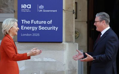 Marea Britanie: Resetarea relațiilor cu UE, fără vot parlamentar