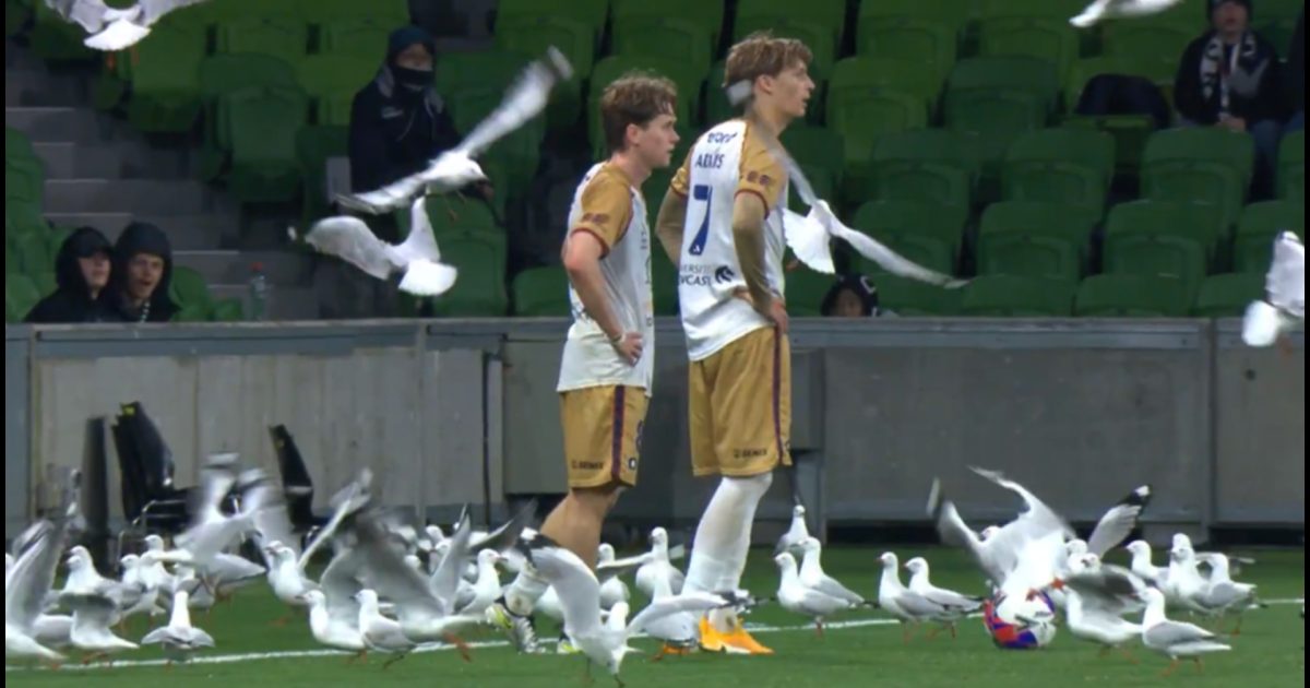 Meci întrerupt din cauza unui motiv hilar. Ce s-a întâmplat, fără precedent