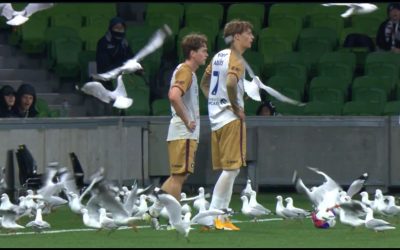 Meci întrerupt din cauza unui motiv hilar. Ce s-a întâmplat, fără precedent