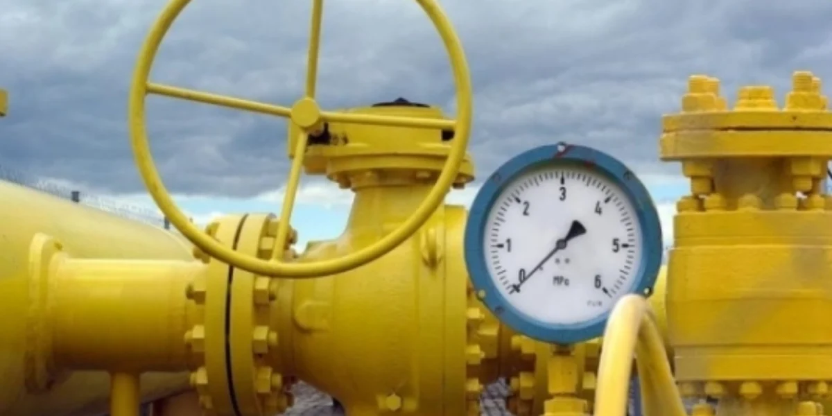 media-146574237175191500.webp.webp - NewsFactor