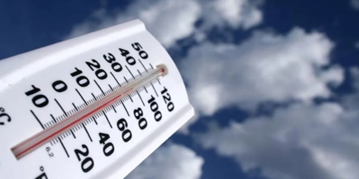 media-147962084283775600.webp.webp - NewsFactor