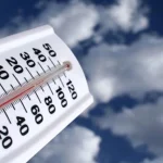 media-147962084283775600.webp.webp - NewsFactor