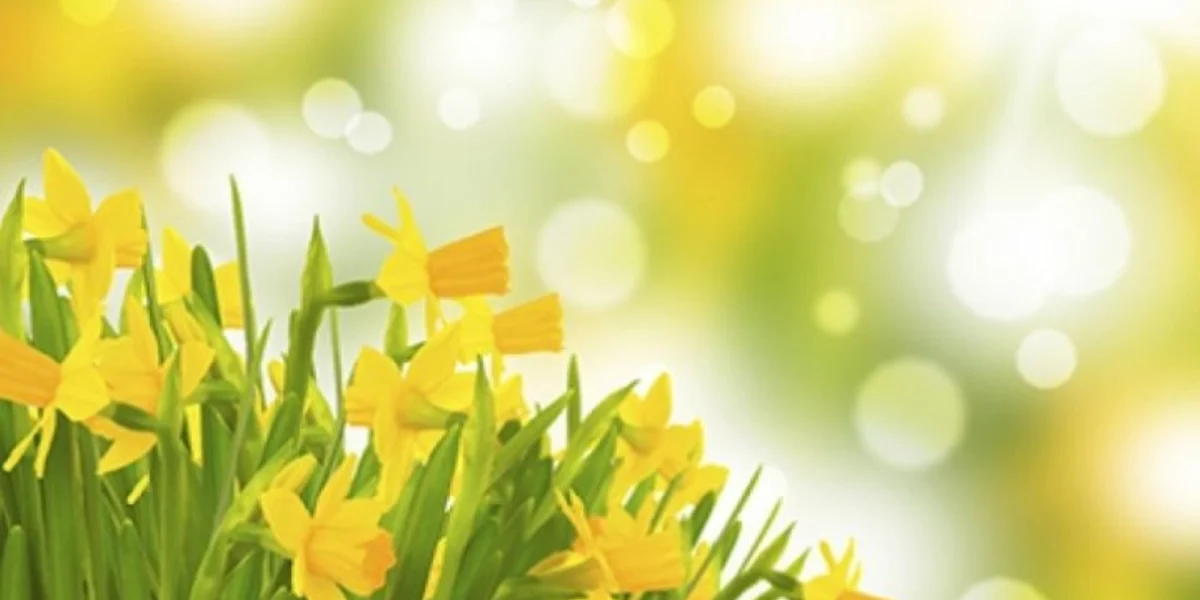 media-152253223332474200.webp.webp - NewsFactor