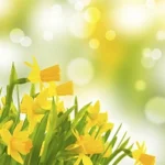 media-152253223332474200.webp.webp - NewsFactor