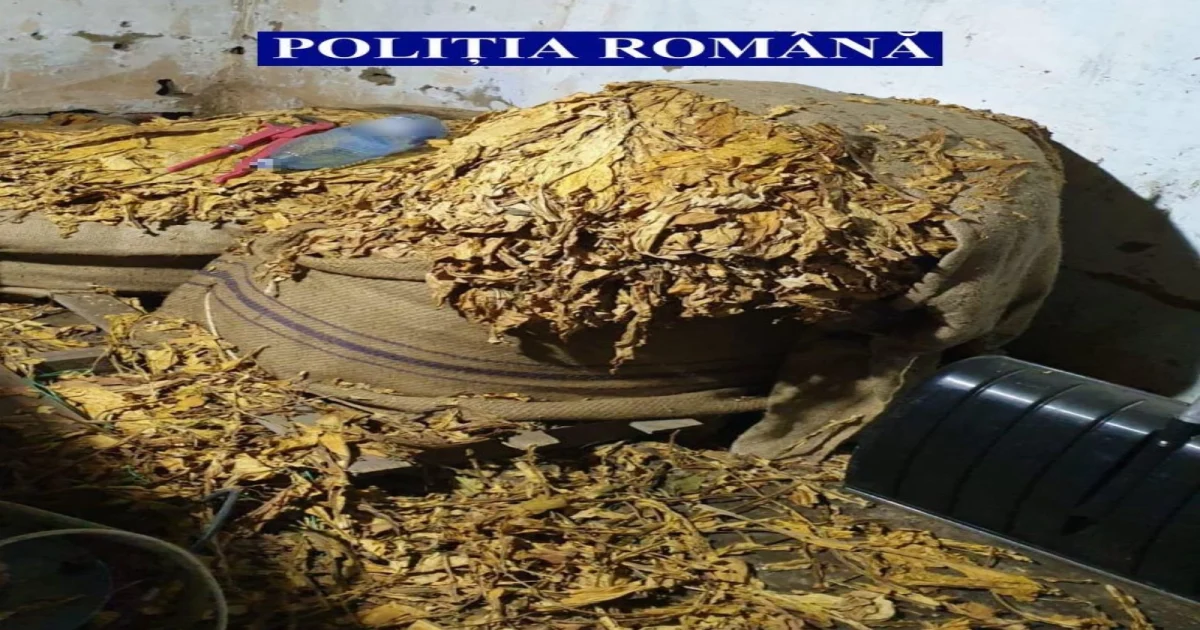 Tutun de peste o tonă, prins la frontieră: Polițiștii au depistat marfa într-o autoutilitară