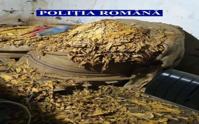Tutun de peste o tonă, prins la frontieră: Polițiștii au depistat marfa într-o autoutilitară