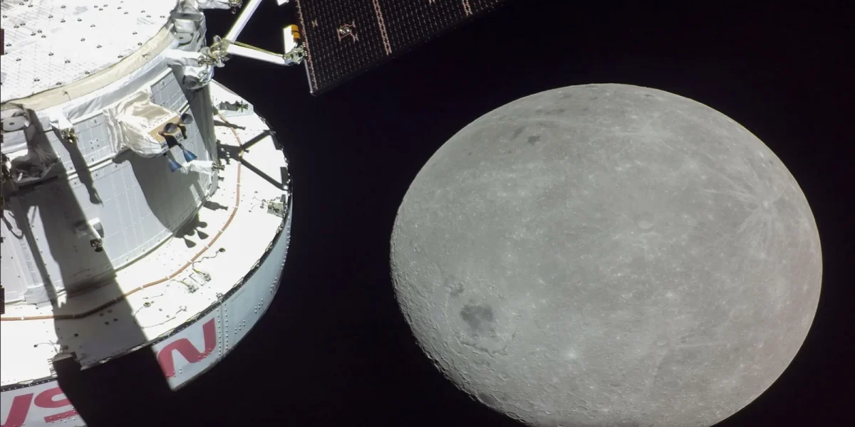 media-166969124960812300.webp.webp - NewsFactor