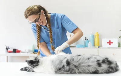 Un spital din PARIS tratează animale sălbatice fără contact: Detalii uluitoare