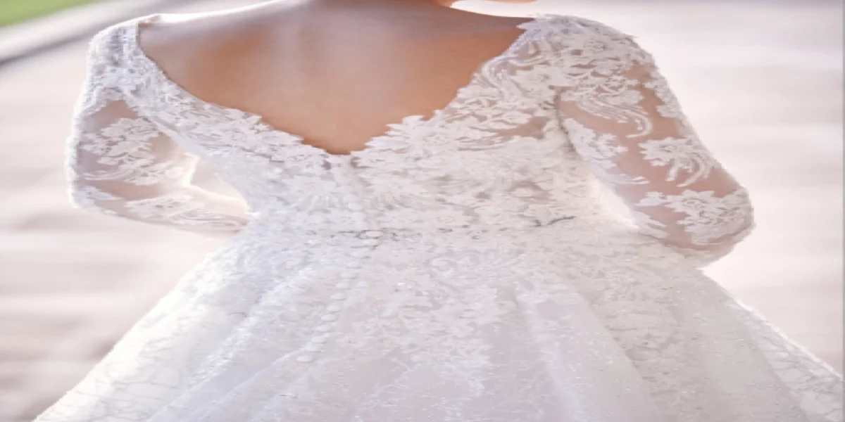 media-168033687981423700.webp.webp - NewsFactor