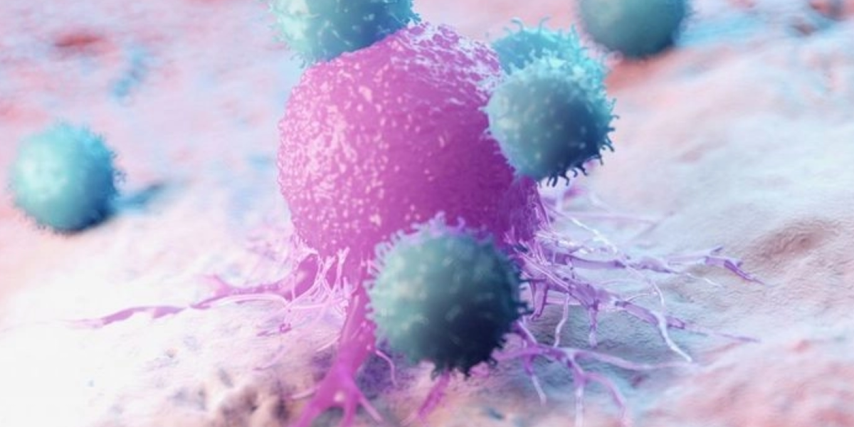 media-171801410970874300.webp.webp - NewsFactor