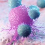 media-171801410970874300.webp.webp - NewsFactor