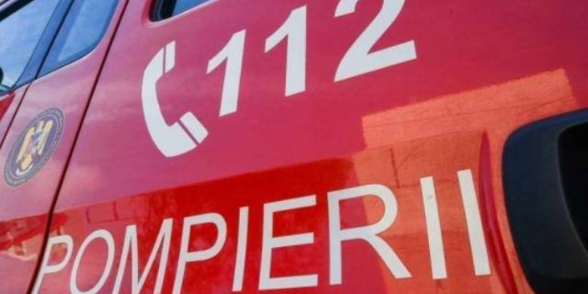 media-172150754412371900.webp.webp - NewsFactor