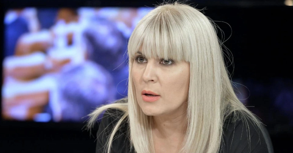Udrea, în apărarea sa: Privatizări vs. „lichidarea unui cadavru administrativ”