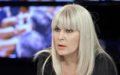 Udrea, în apărarea sa: Privatizări vs. „lichidarea unui cadavru administrativ”