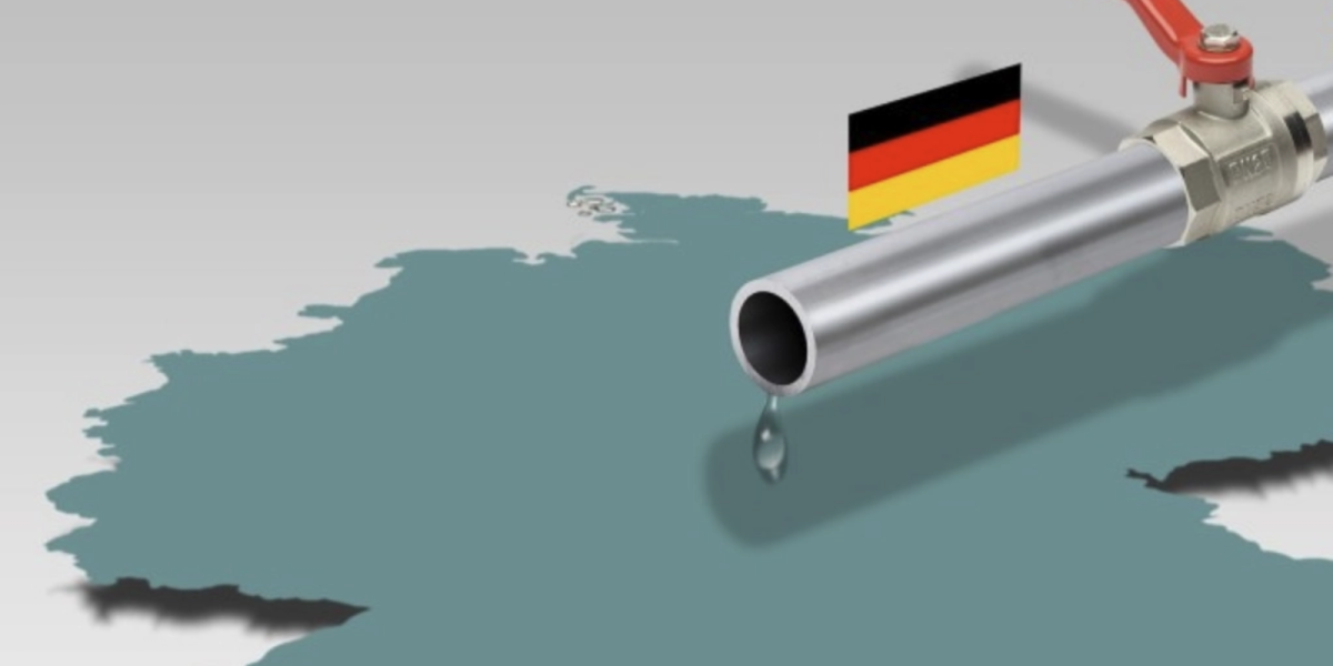 media-172733452737481900.webp.webp - NewsFactor