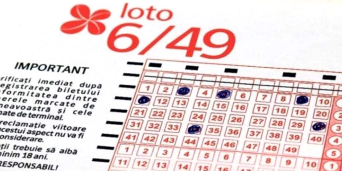 media-173367351111367900.webp.webp - NewsFactor