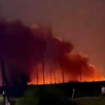 media-173495333966070700.webp.webp - NewsFactor