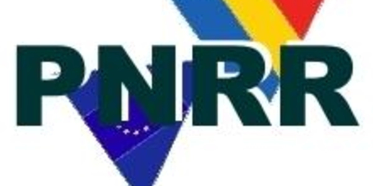 Cartelul Alfa, Frăția, CSDR și Meridian cer Parlamentului verificarea Guvernului Bolojan