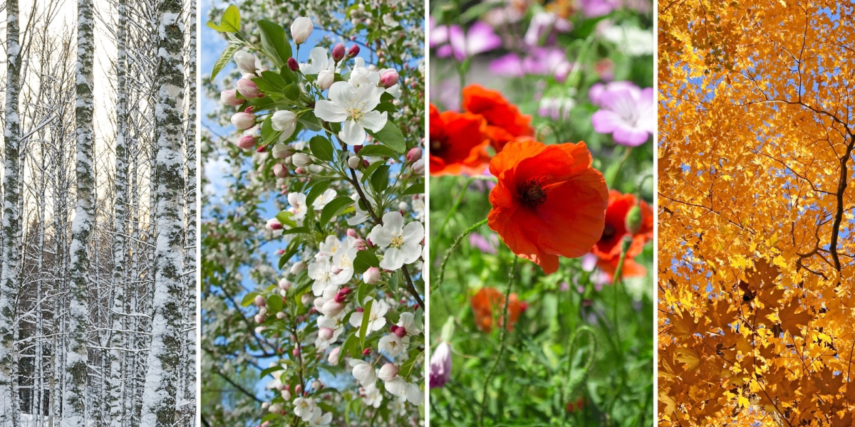 media-174011702764723400.webp.webp - NewsFactor